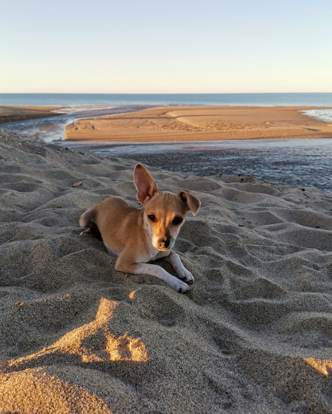 foto:Jessica Alejandra Luna Suaste  - lo hecho en México