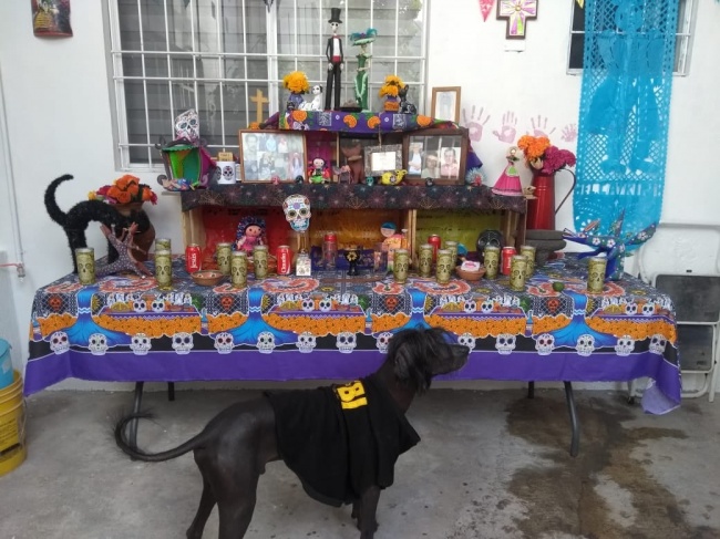 foto:HUGO TRILLO BECERRA  - lo hecho en México