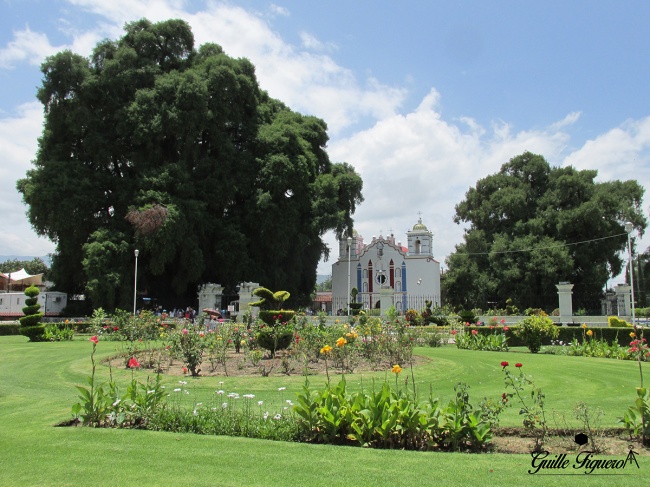 foto:Guillermo Manuel Flores Figueroa  - lo hecho en México