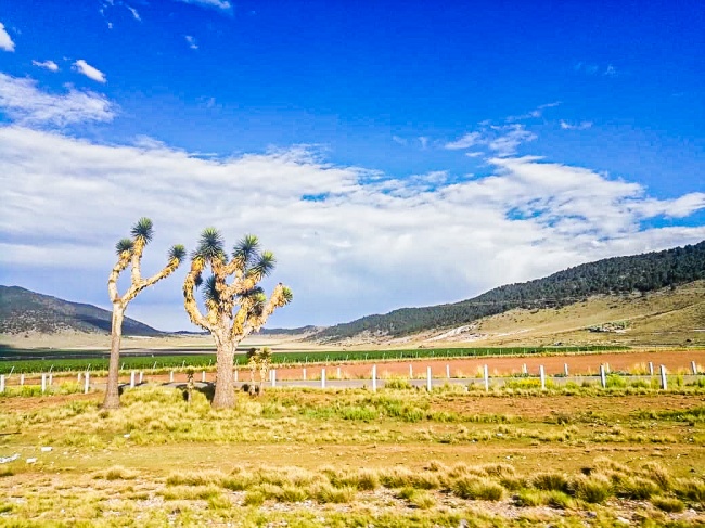 foto:Rosa Isela García Juárez  - lo hecho en México