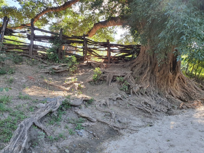 foto:Germán Sañudo Sánchez Galán  - lo hecho en México