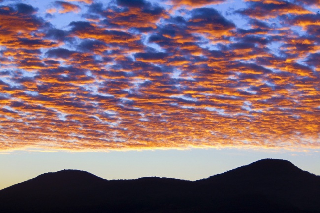 foto:ANTONIO MAX RAMÍREZ BRITO  - lo hecho en México