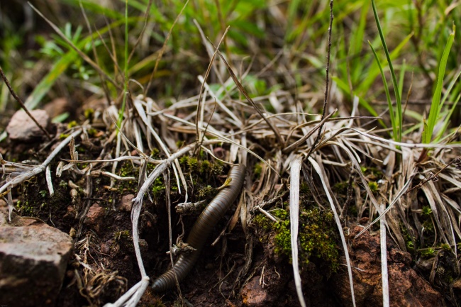 foto:Angel Samuel Martinez Vera  - lo hecho en México