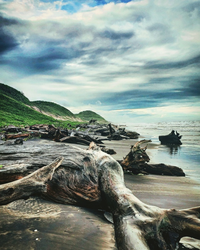 foto:Borda Silva Alan Javier  - lo hecho en México