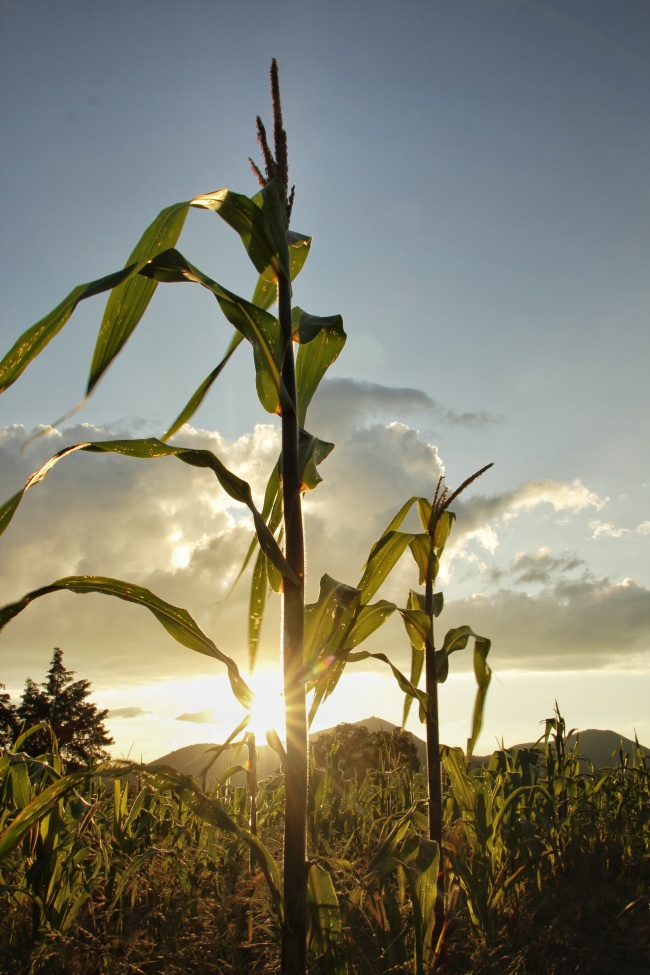 foto:Lizbeth Narváez Meza  - lo hecho en México