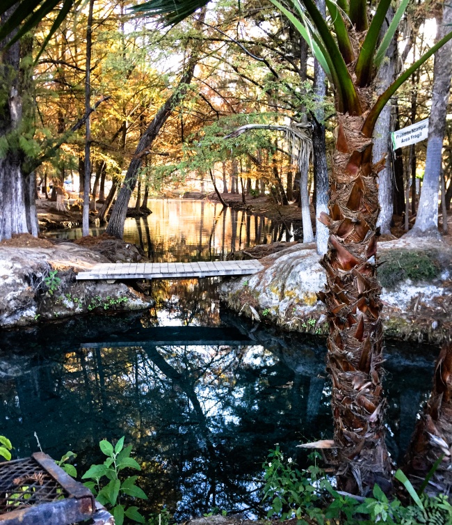 foto:Mariela Elizabeth Carmen Zenón  - lo hecho en México