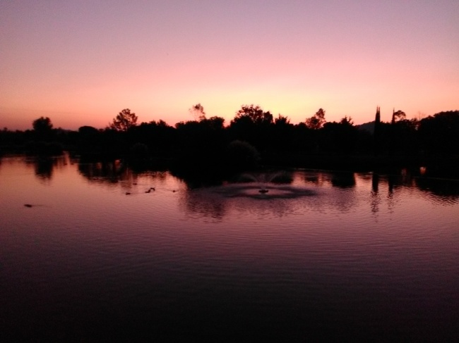 foto:David Eduardo Lopez Velázquez  - lo hecho en México