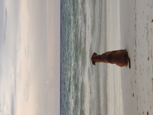 foto:Iván Groo Téllez  - lo hecho en México