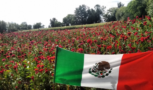 foto:JUAN CARLOS AVELAR HUERTA  - lo hecho en México