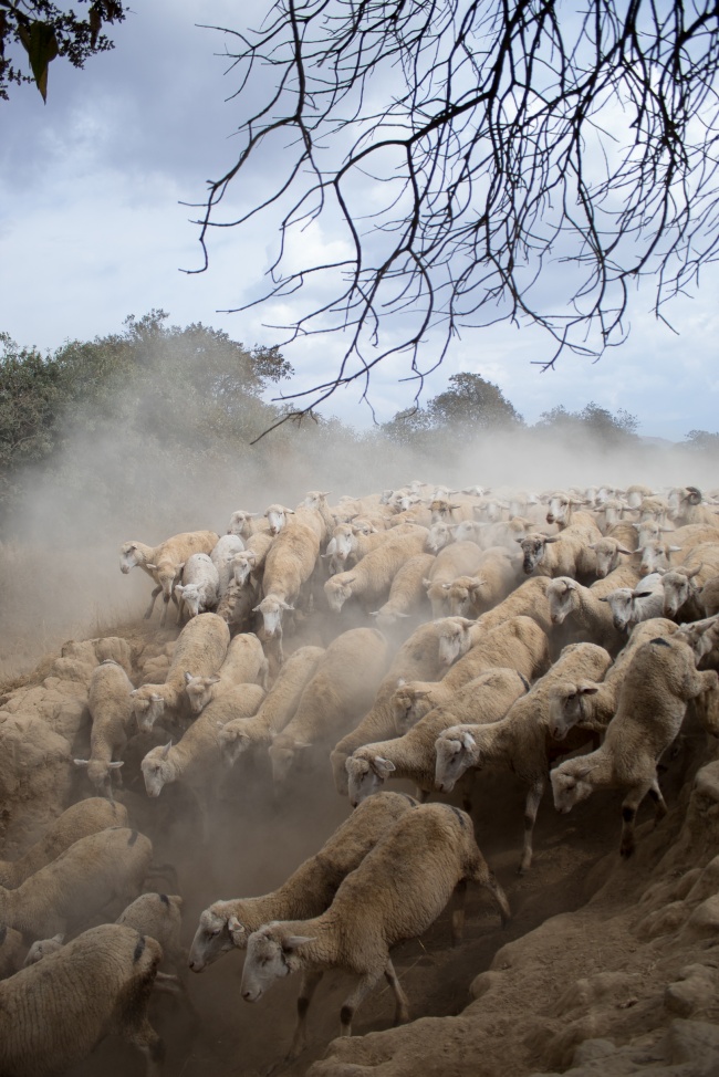 foto:Fernando Anzures Flores  - lo hecho en México