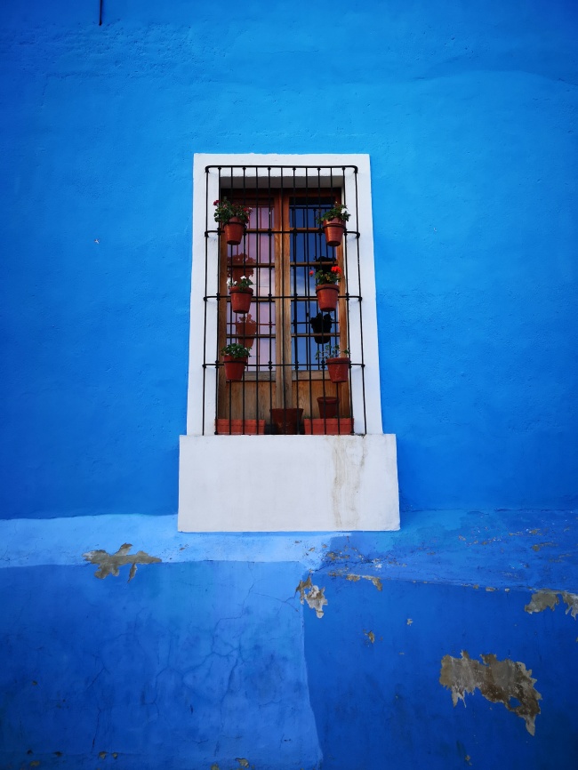 foto:Ramón Jesús Malfavón González  - lo hecho en México