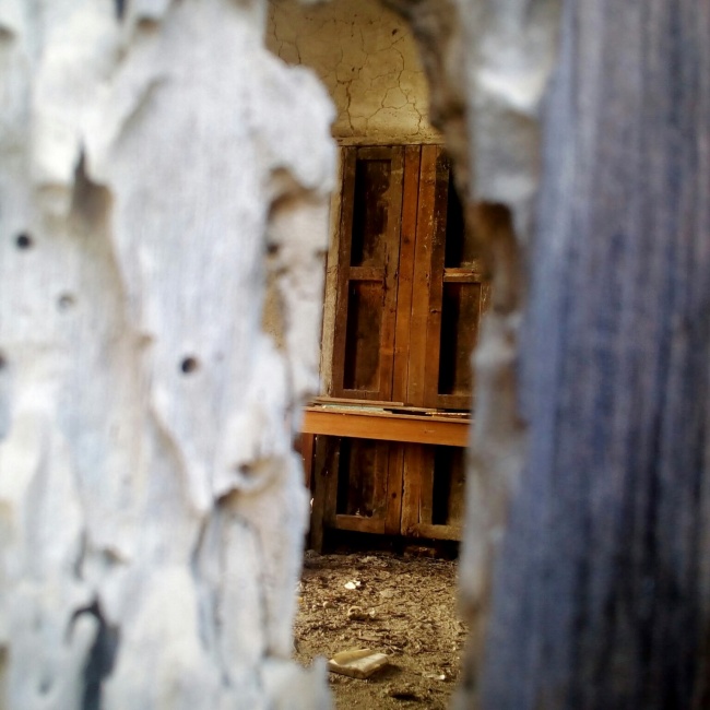 foto:Hamlet Narayan Avila Contreras  - lo hecho en México