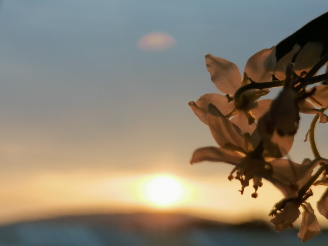 foto:Esbeidy Sarabia Sarabia  - lo hecho en México