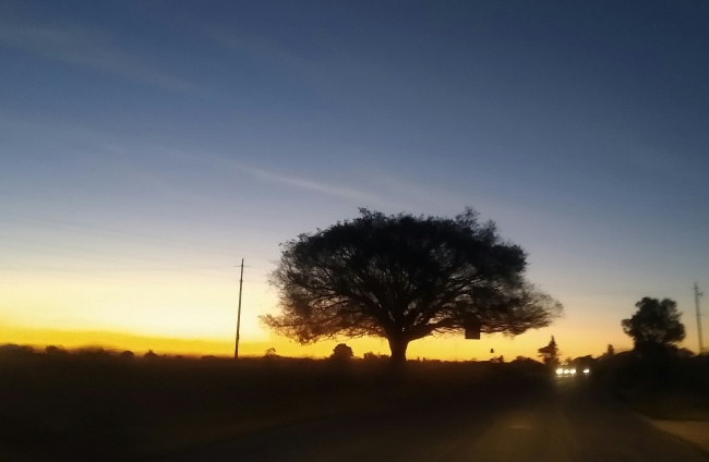 foto:Raúl Álvarez Esquivel  - lo hecho en México