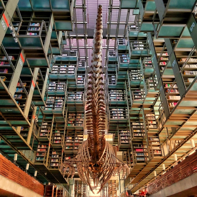 foto:Johann Emiliano Fuentes Rivero  - lo hecho en México