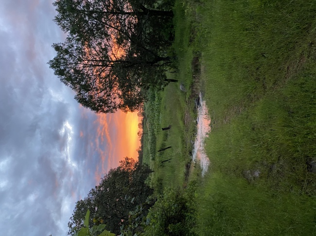 foto:Vicky Peña  - lo hecho en México