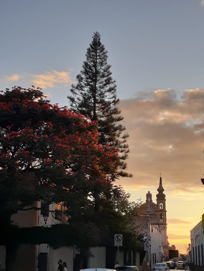 foto:Regina Amelia Urbán Carrillo  - lo hecho en México