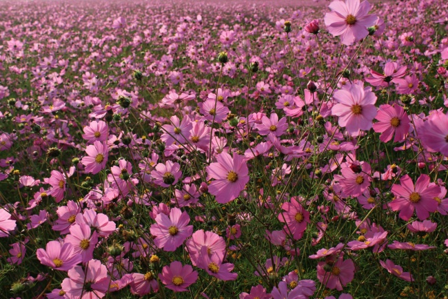 foto:BERENICE TORRES HERNANDEZ  - lo hecho en México