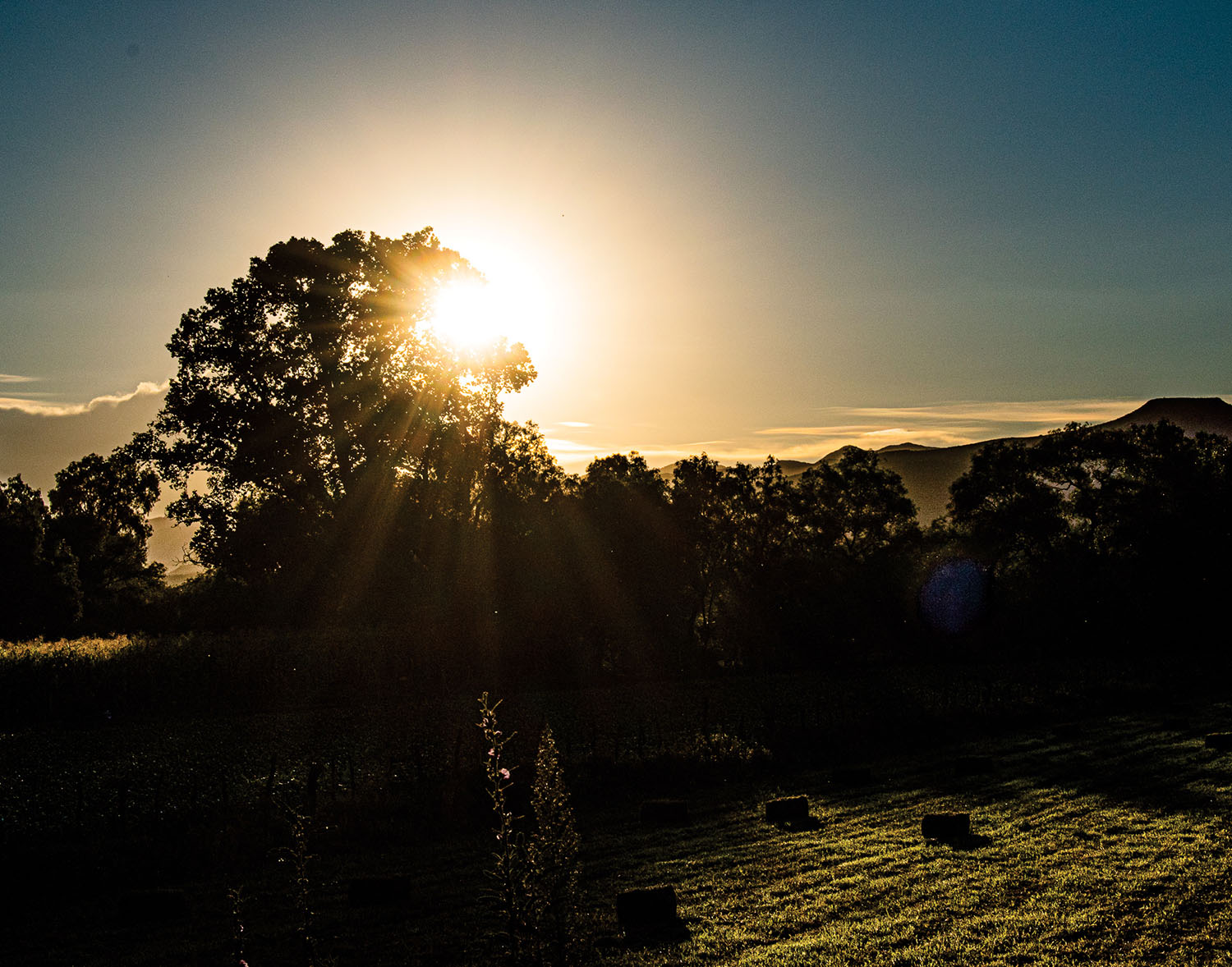 foto:Marcelino Marcial Carrillo  - lo hecho en México