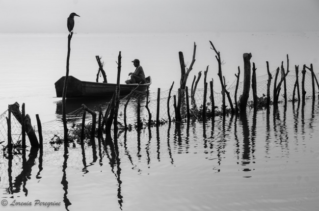 foto:Loreni Tamborrell Guerrero  - lo hecho en México