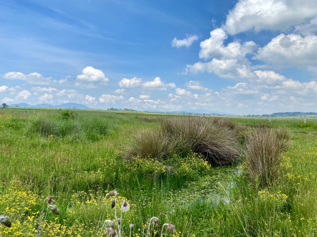 foto:Cecilia Ornelas  - lo hecho en México