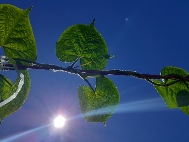 foto:Fabiola Yazmin Cosmes Hernández  - lo hecho en México