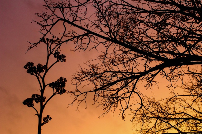 foto:González Fernández  - lo hecho en México