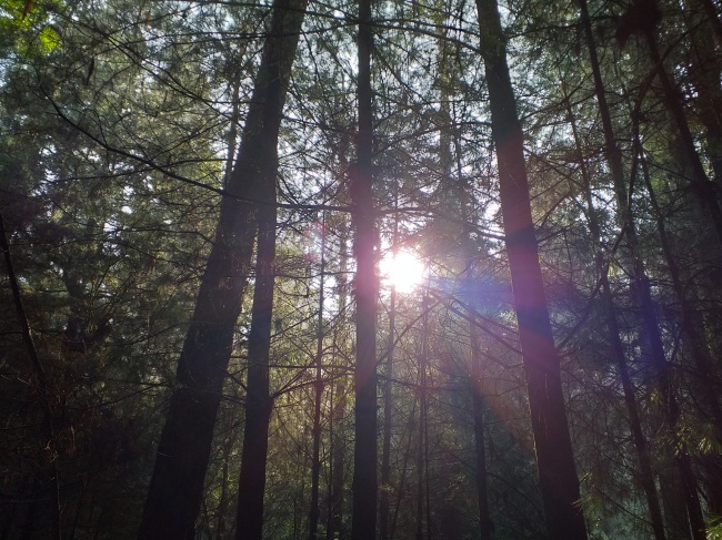 foto:Edgardo Delgado Hernández  - lo hecho en México