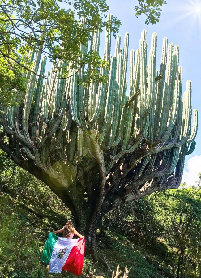 foto:Dulce Abril Mijangos González  - lo hecho en México