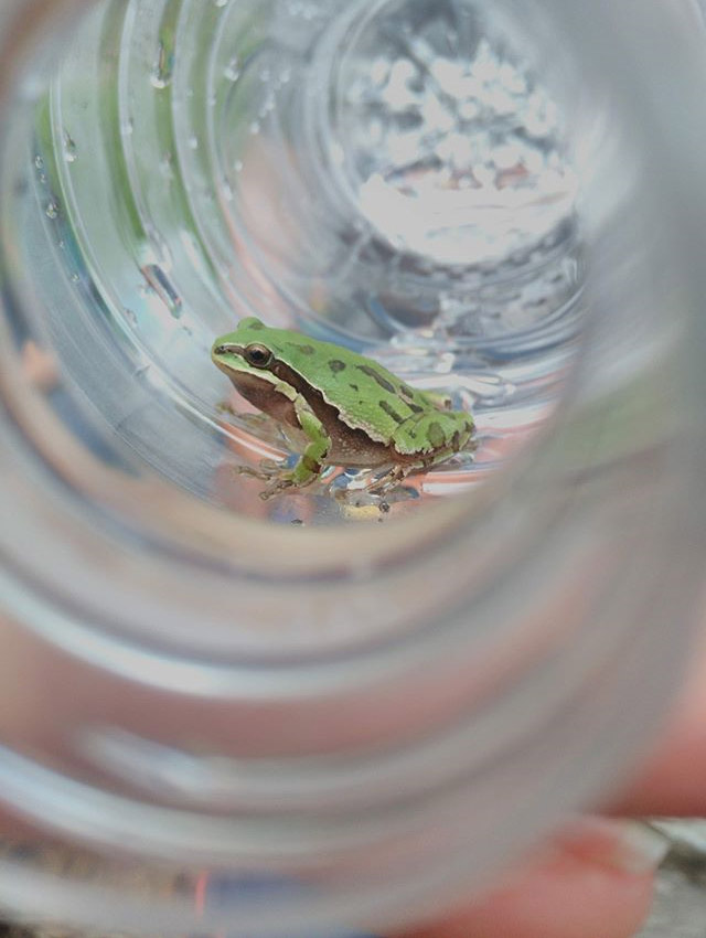 foto:Ahide Cristal Quintero Hernández  - lo hecho en México