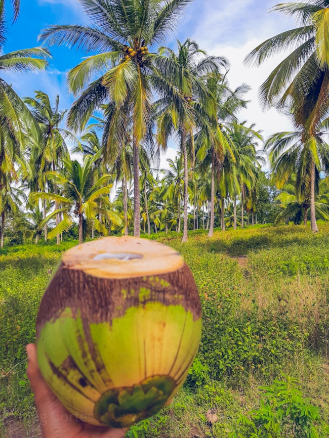 foto:Magali Cortes Portillo  - lo hecho en México