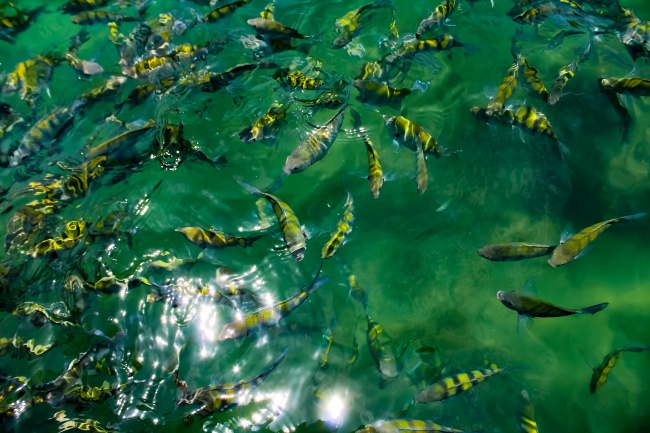 foto:Diana Mendoza Arenas  - lo hecho en México