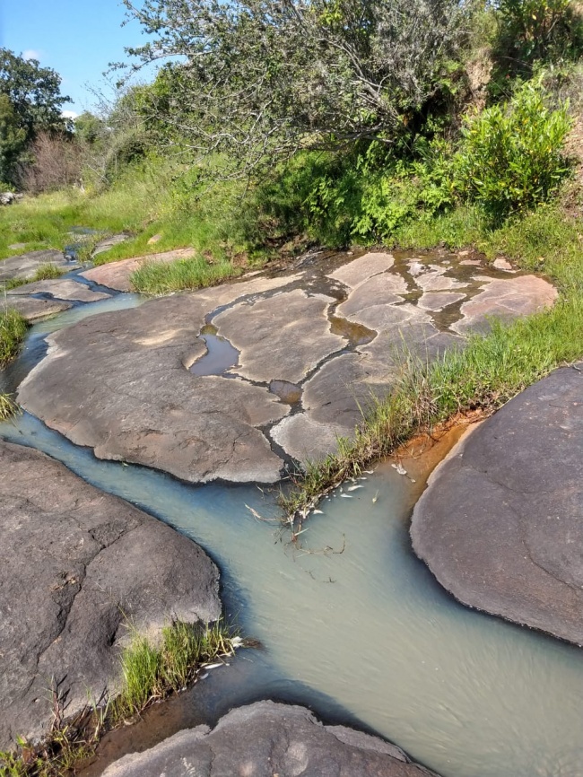 foto:Azeneth Rivera Ríos  - lo hecho en México