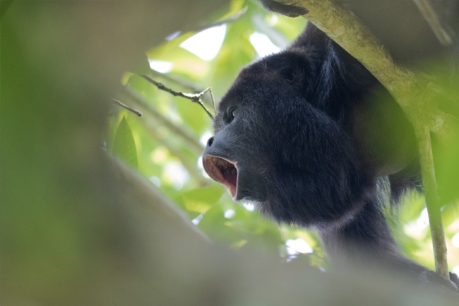 foto:carolina carvajal haro  - lo hecho en México