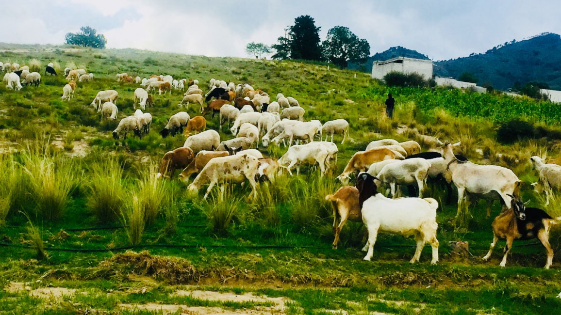 foto:Laura Aguilar Torres  - lo hecho en México