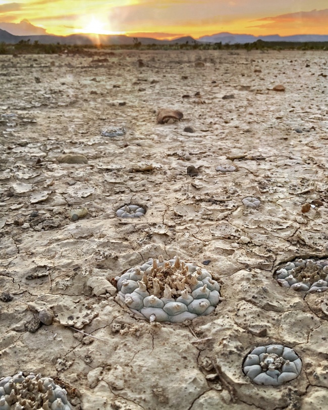 foto:Roberto García Ibarra  - lo hecho en México