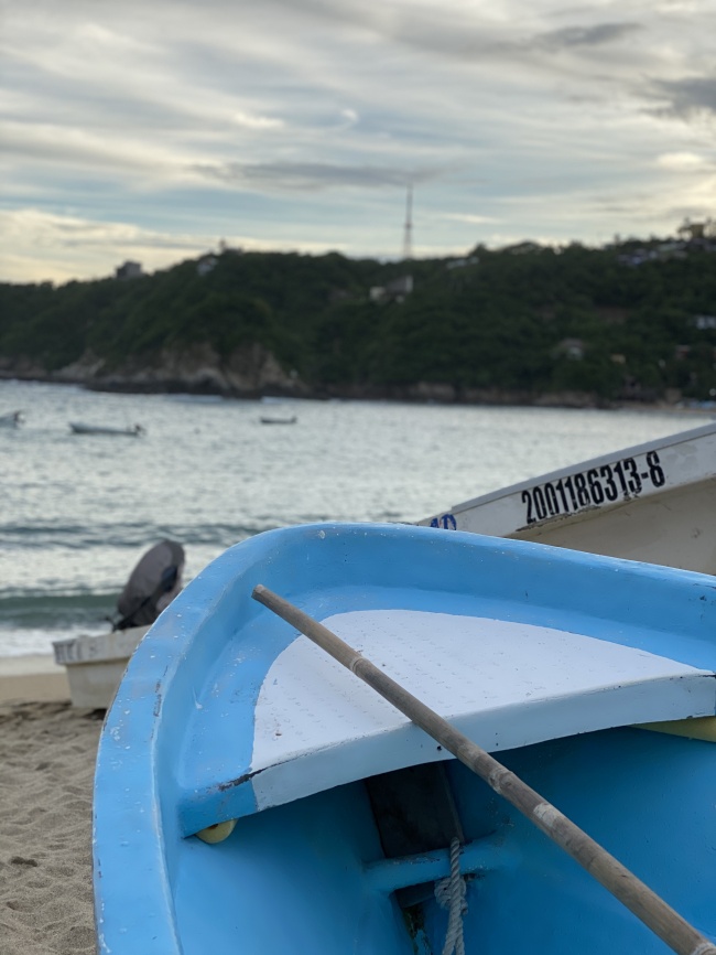 foto:Liliana Carrillo Sarubbi  - lo hecho en México