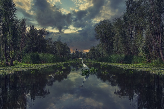 foto:Brenda Islas  - lo hecho en México