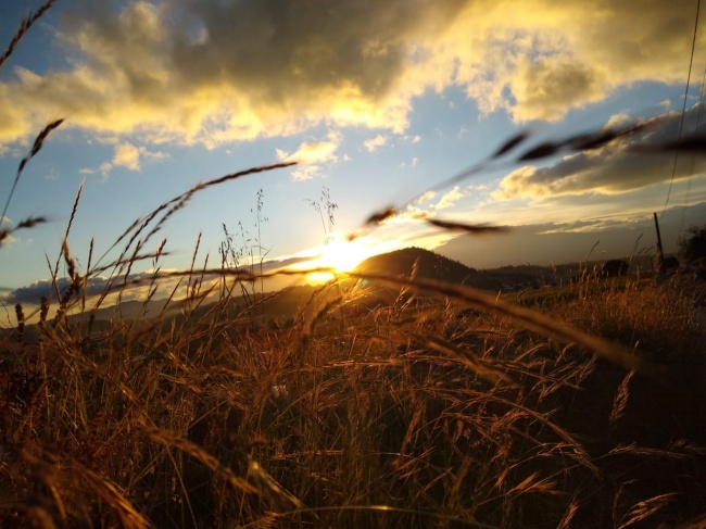 foto:Alicia Berenice Mejia Rubio  - lo hecho en México