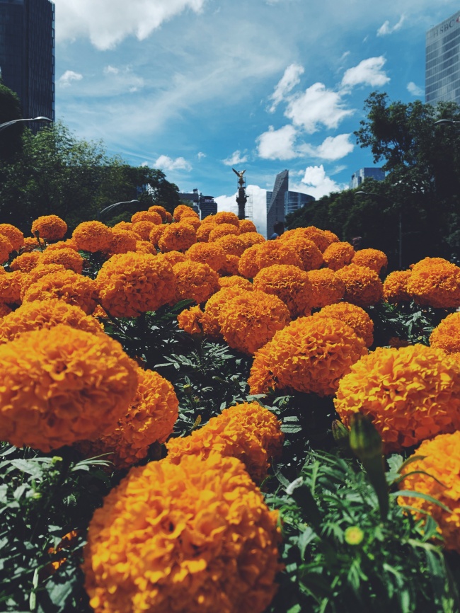 foto:José Mateo Rodriguez Alvarez  - lo hecho en México