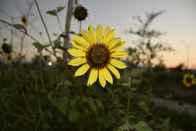 foto:Ricardo Carreon  - lo hecho en México