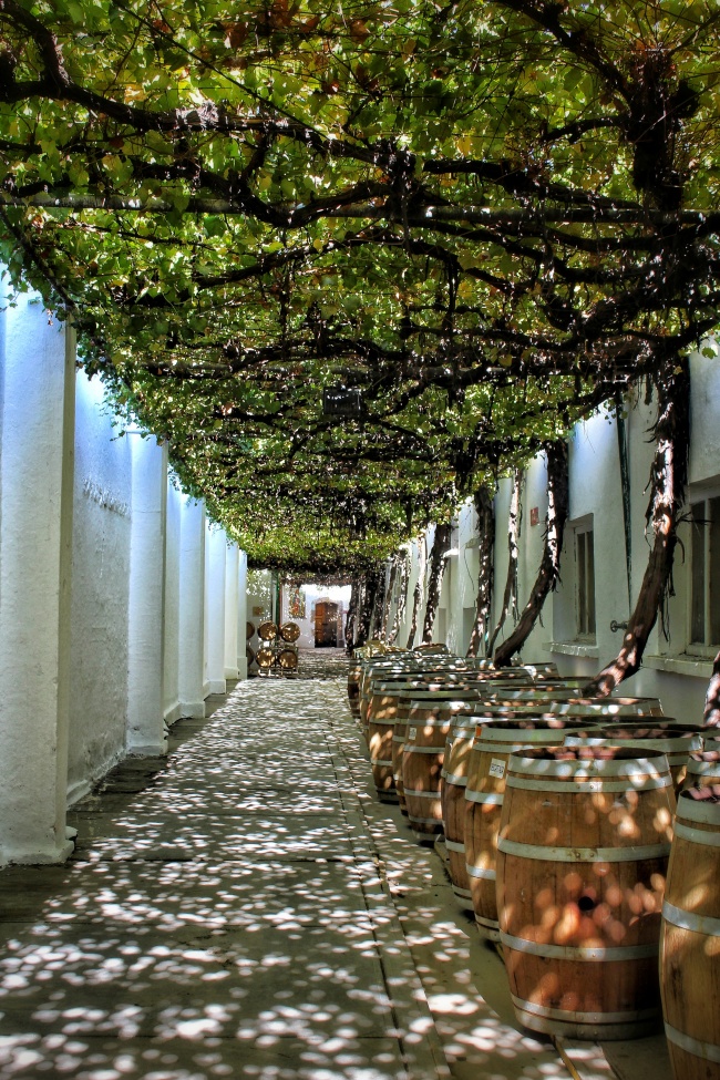 foto:Annette Torres  - lo hecho en México