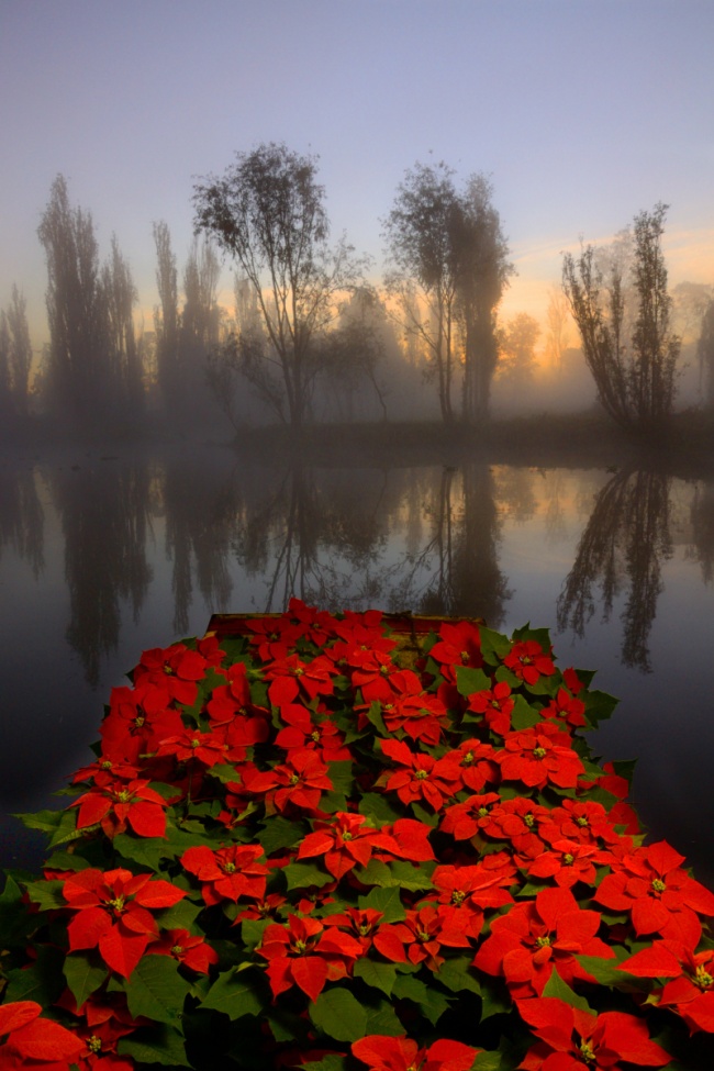 foto:jesús eduardo lópez reyes  - lo hecho en México