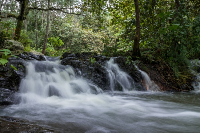 foto:Nathanael Gómez Calderón  - lo hecho en México