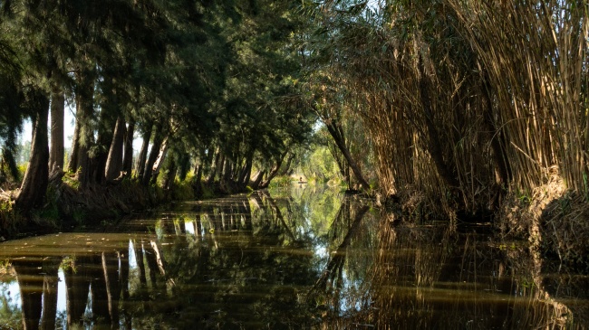 foto:Pablo Cuevas Delint  - lo hecho en México