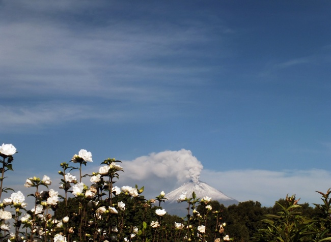 foto:sergio vargas acosta  - lo hecho en México