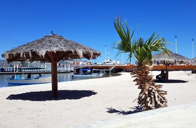 foto:Sergio Ochoa Mayorga  - lo hecho en México