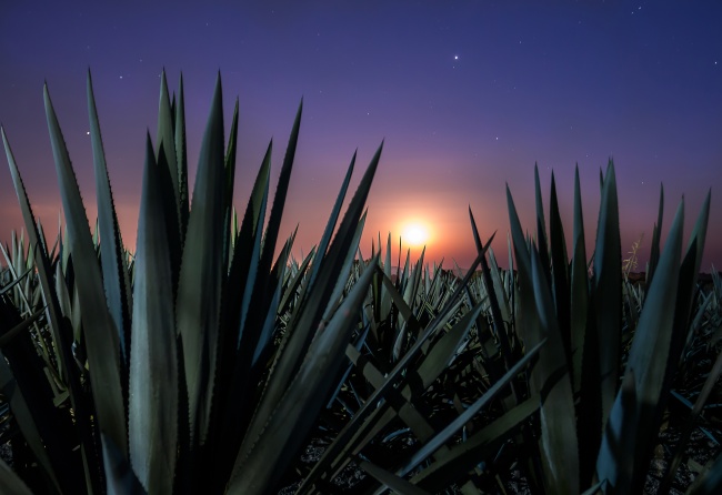 Claudia Utrilla Sánchez 