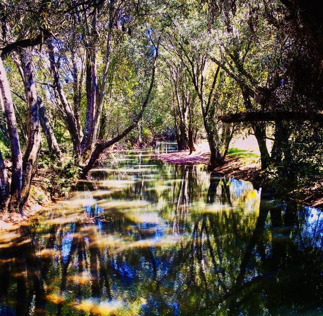foto:Cynthia Contreras Garza  - lo hecho en México