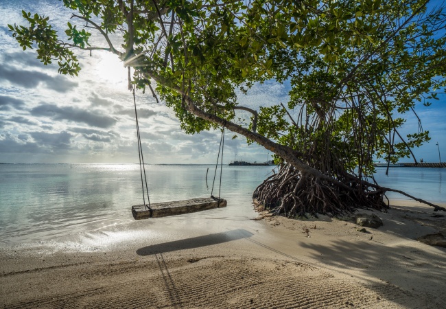 foto:Samira Zaiter Gonzalez  - lo hecho en México